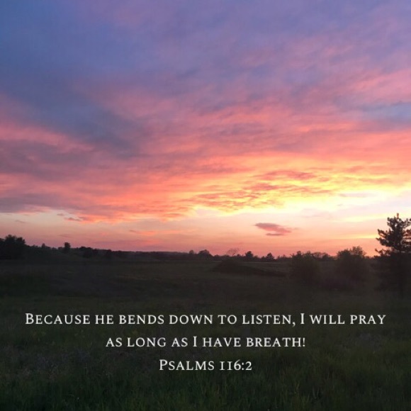 Meet your Posher, Laurie - Picture 2 of 8